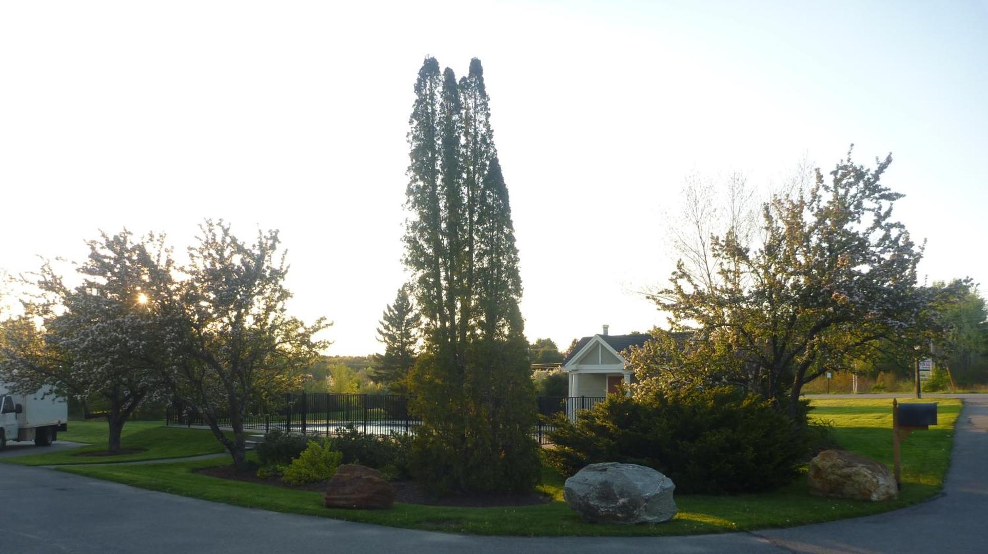 Belfast Harbor Inn