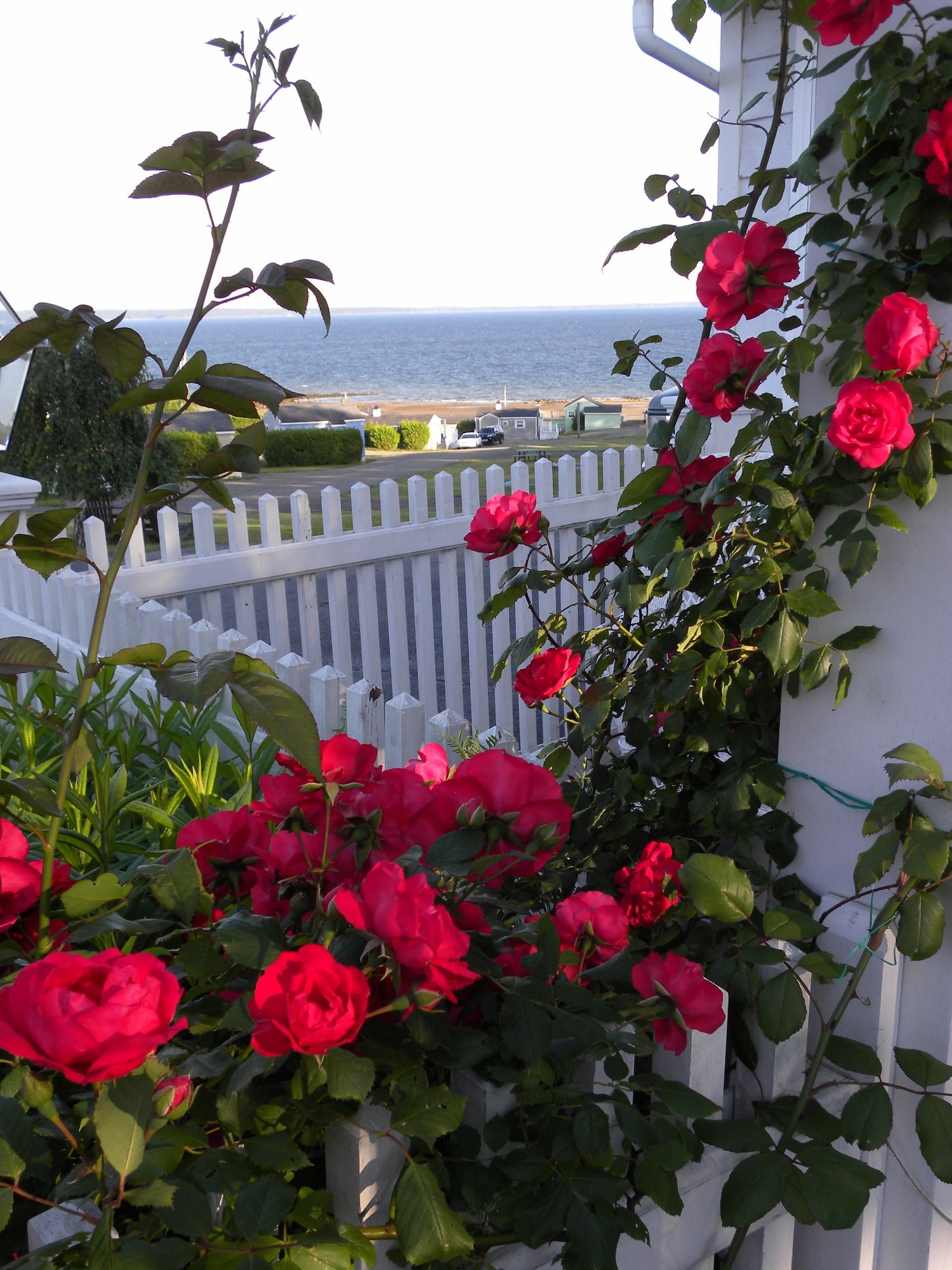 Colonial Gables Oceanfront Village