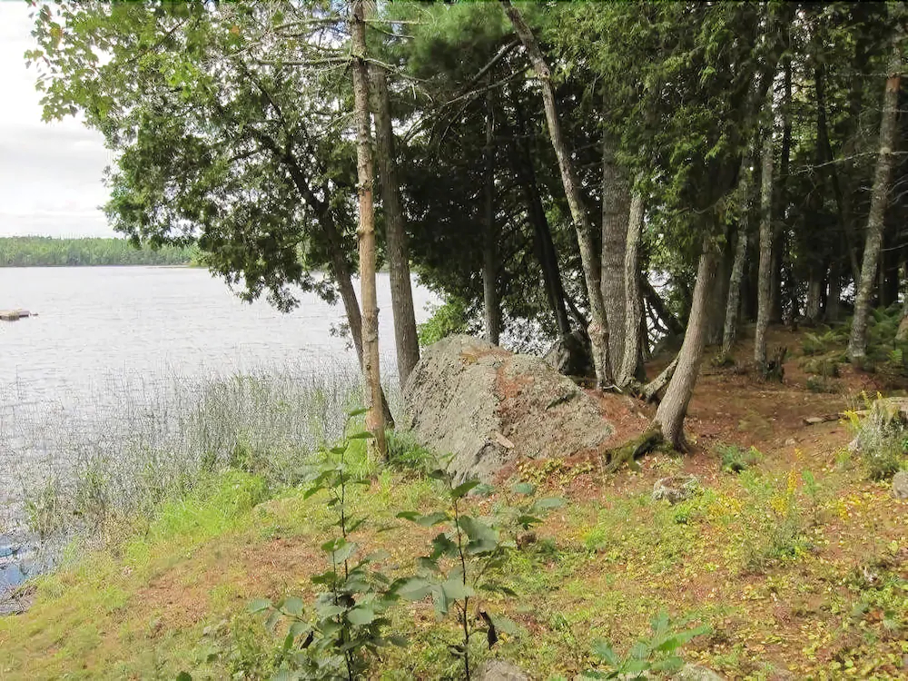 Woods Pond Cottage