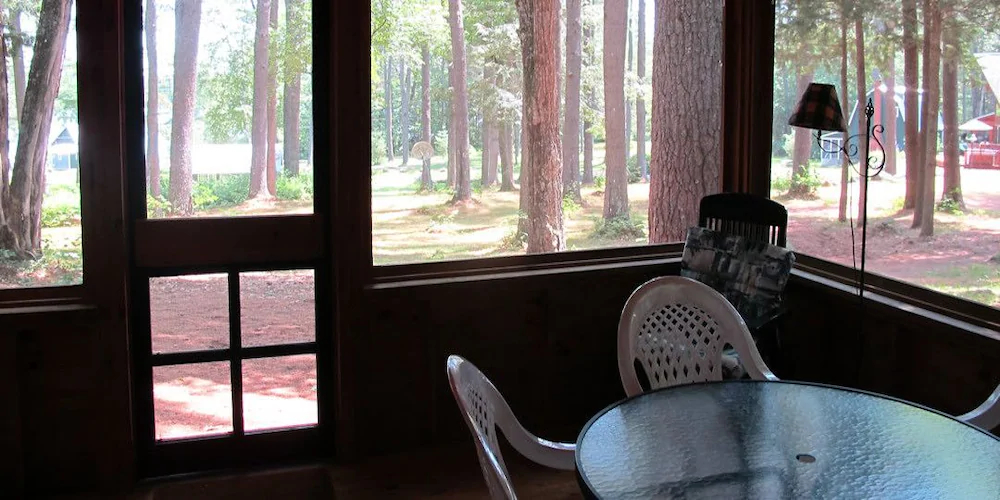Birches At Gilmore Camps On Kezar Lake