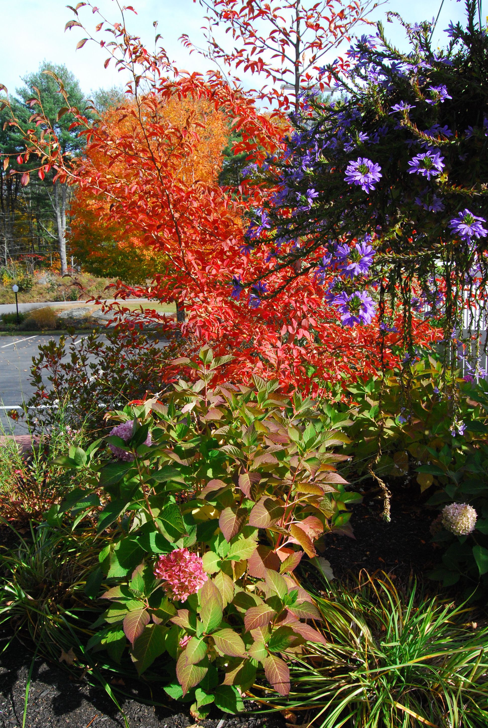 Cod Cove Inn Edgecomb