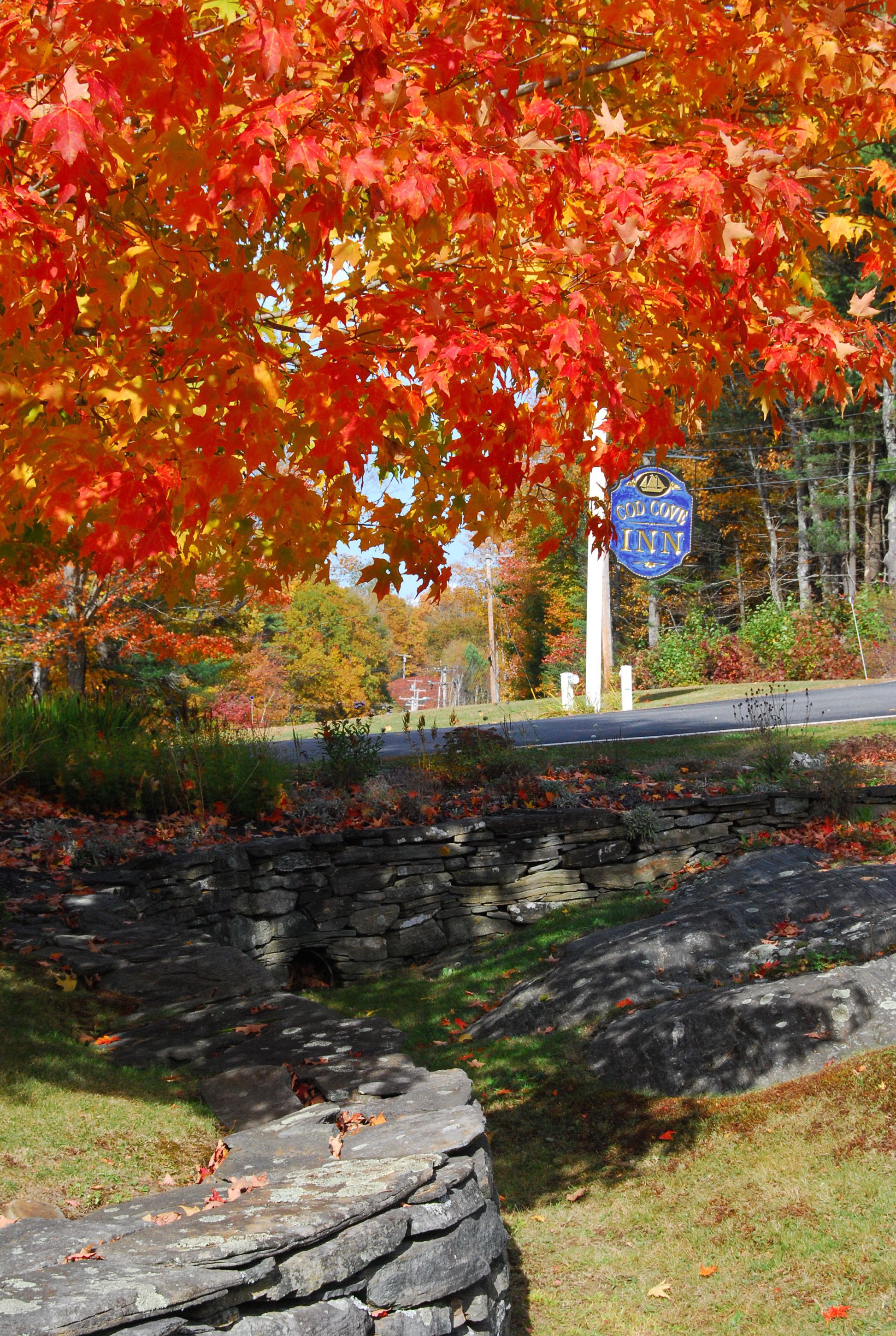 Cod Cove Inn Edgecomb