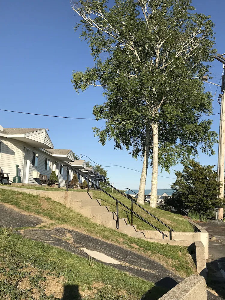 White Birches Motel
