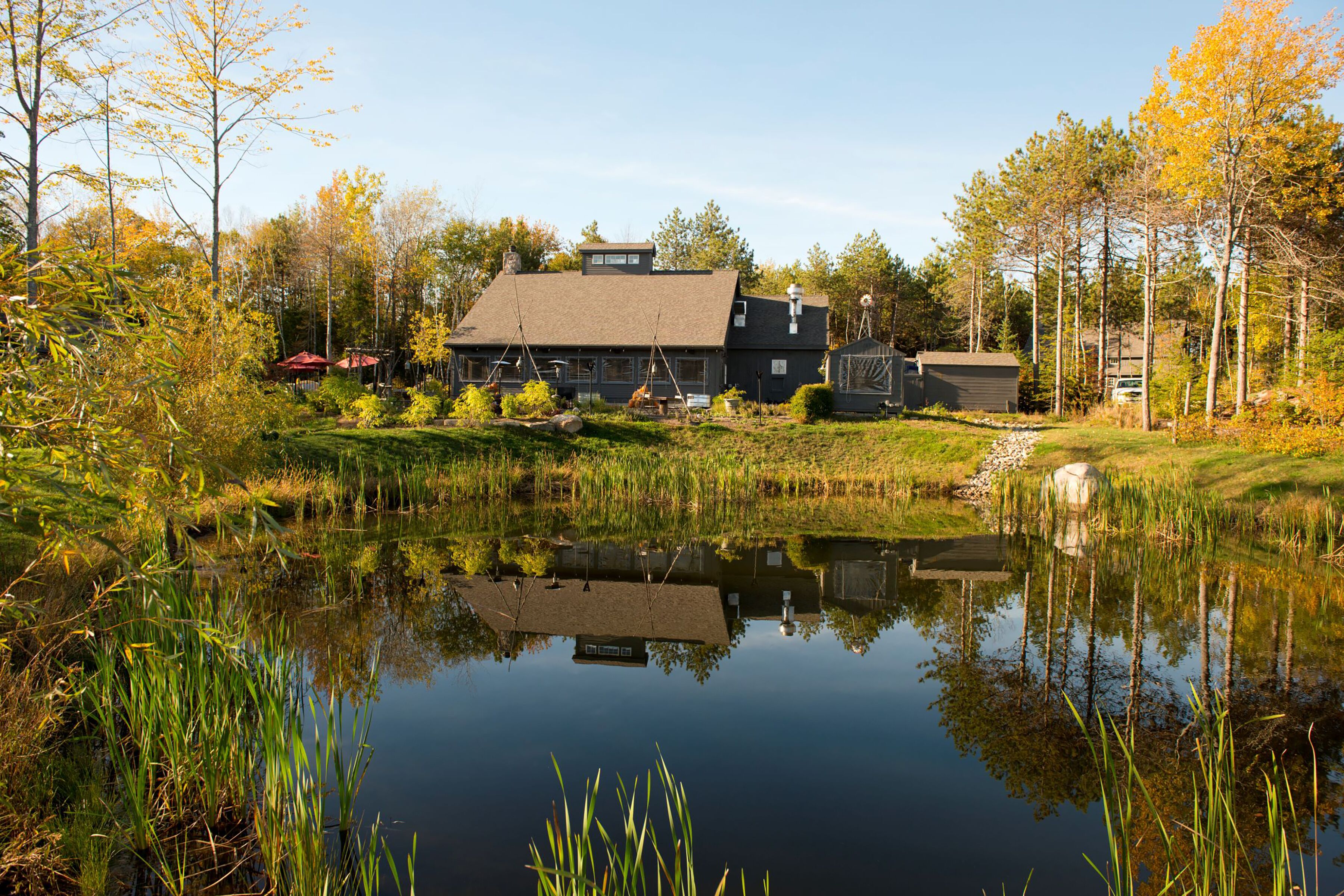 Hidden Pond
