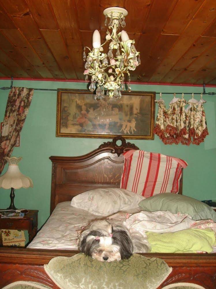 Enchanted Nights Bed & Breakfast