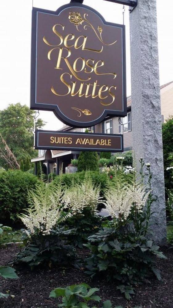 Sea Rose Suites