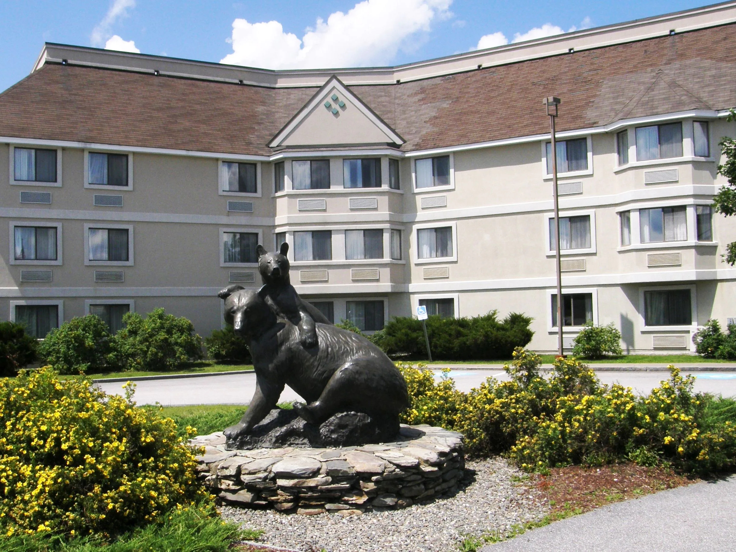 Black Bear Inn & Conference Center
