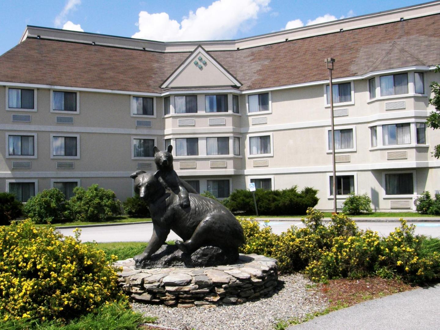 Black Bear Inn & Conference Center