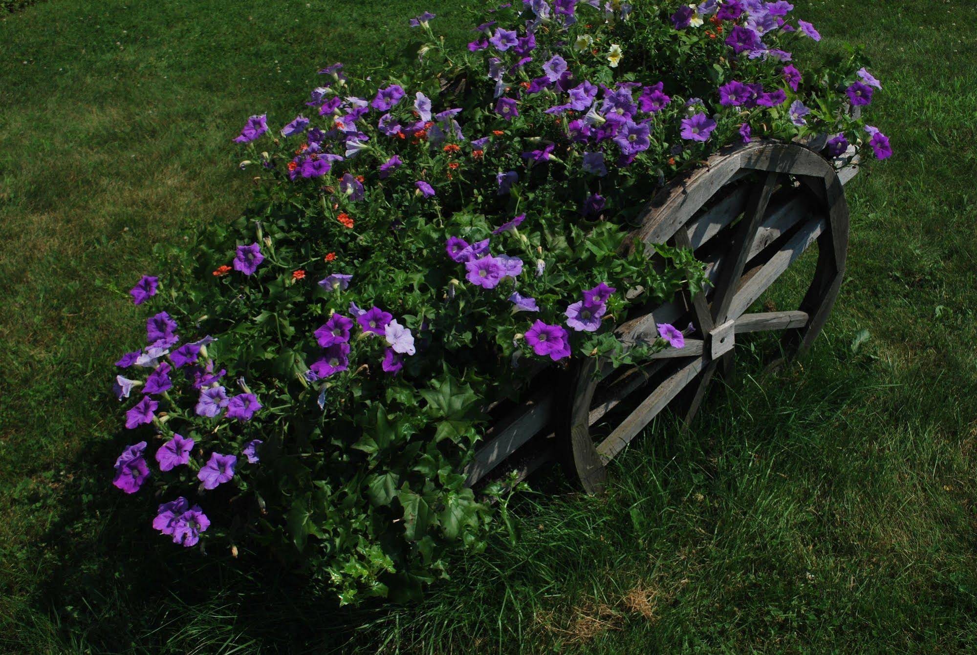 Country Inn at Camden Rockport