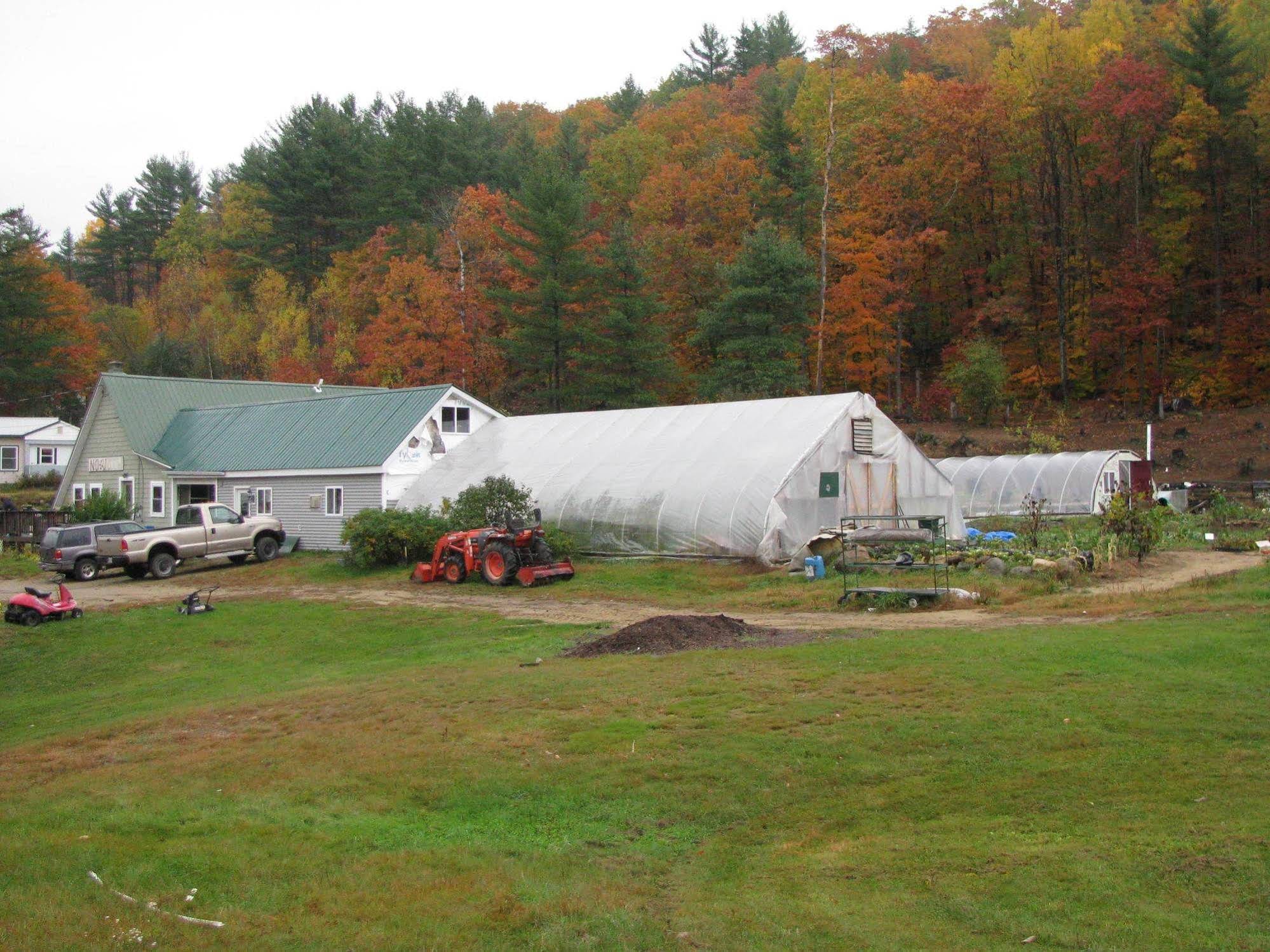 No View Farm