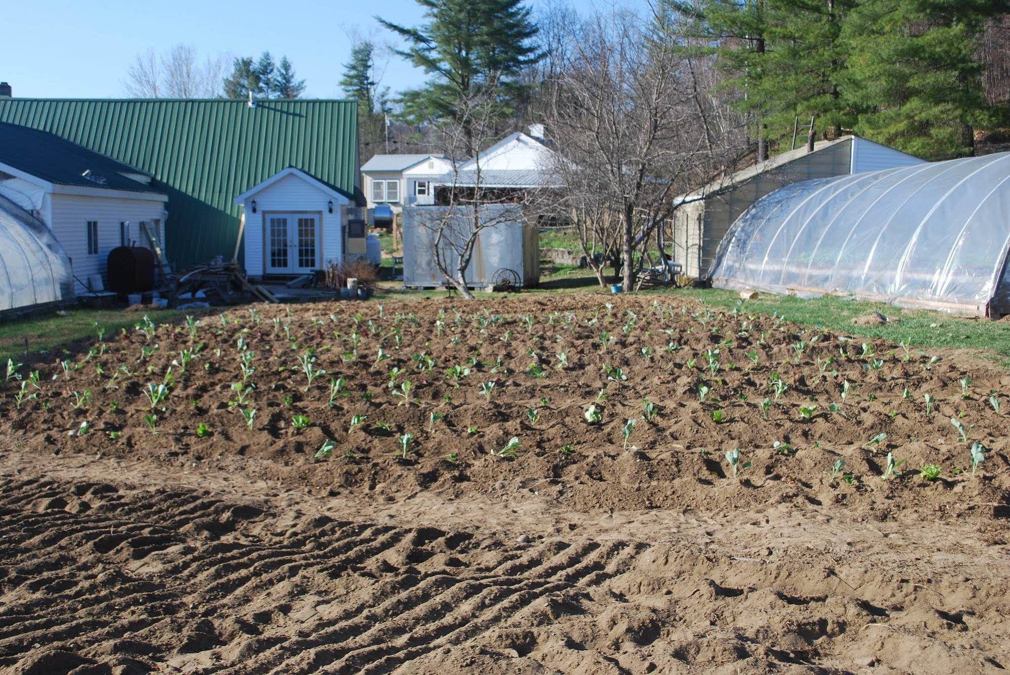 No View Farm