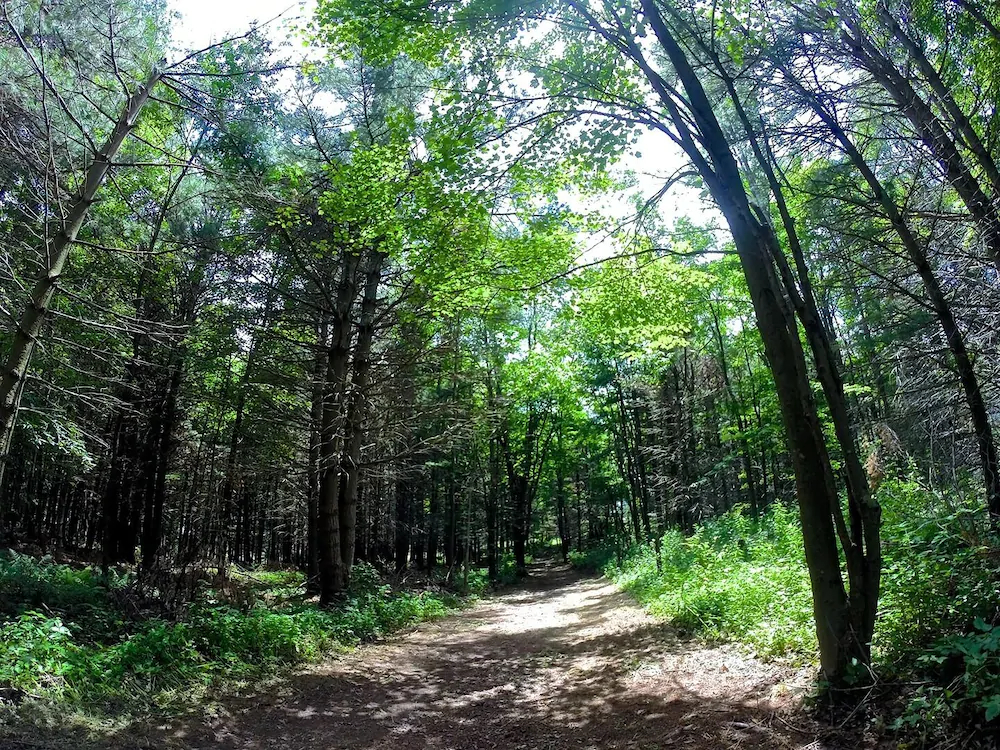 Camp Deep Creek