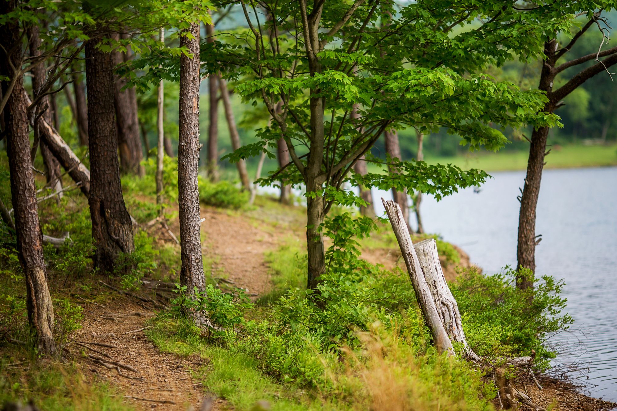 Rocky Gap Casino Resort, BW Premier Collection