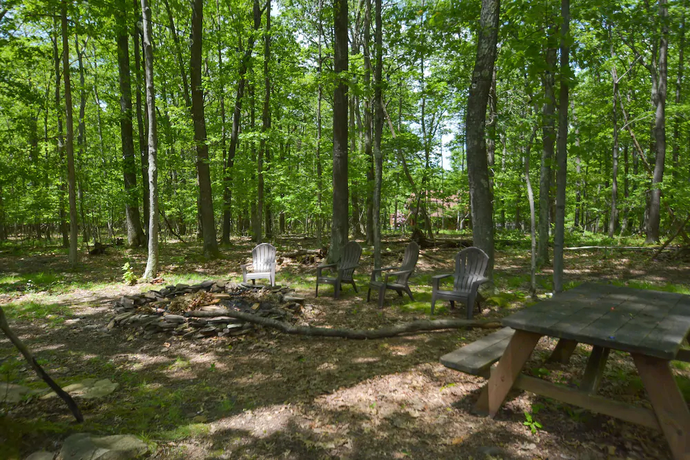 Grey Wolf House