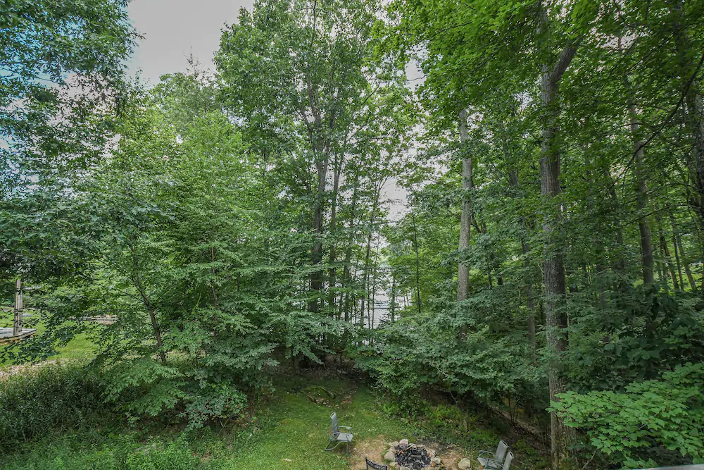 Misty Creek House