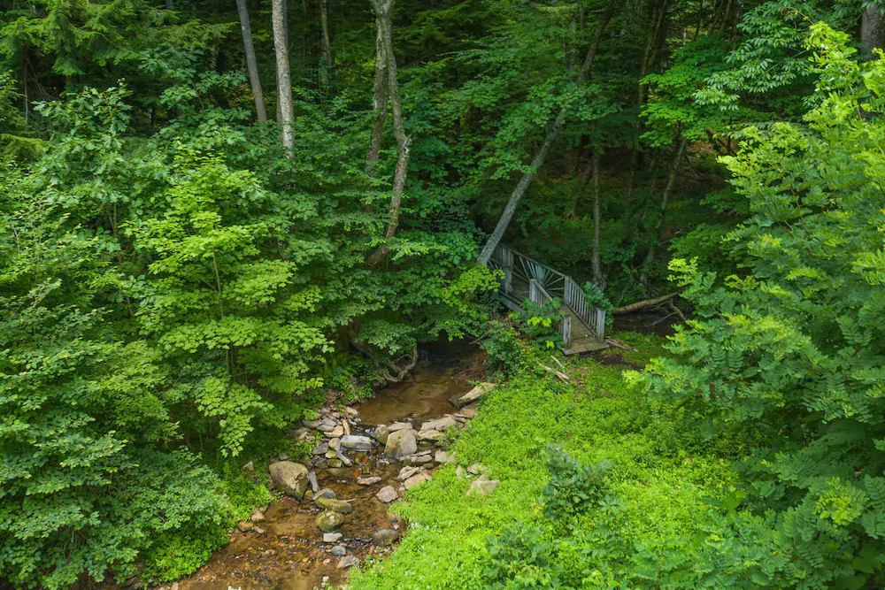 Streamside House