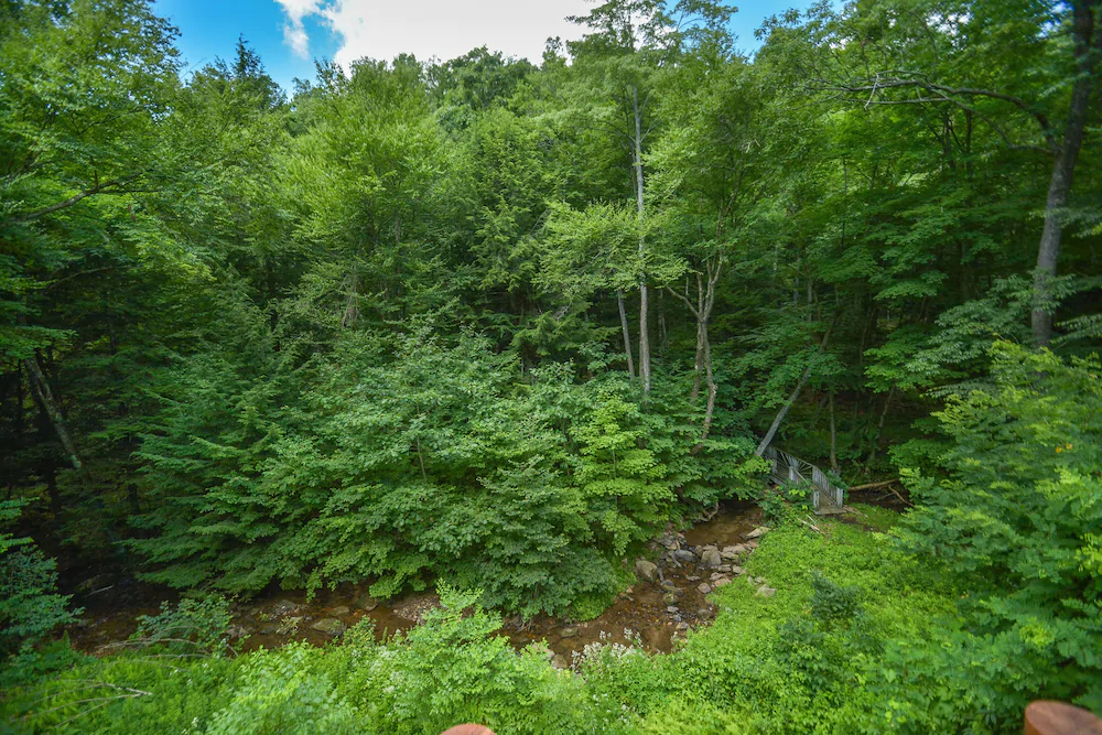 Streamside House