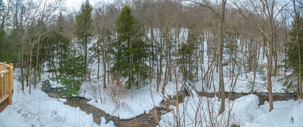 Streamside House