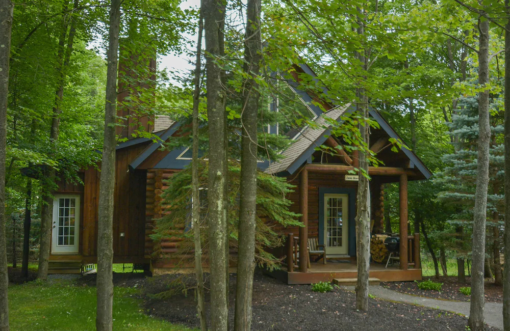 Dan's Mountain House