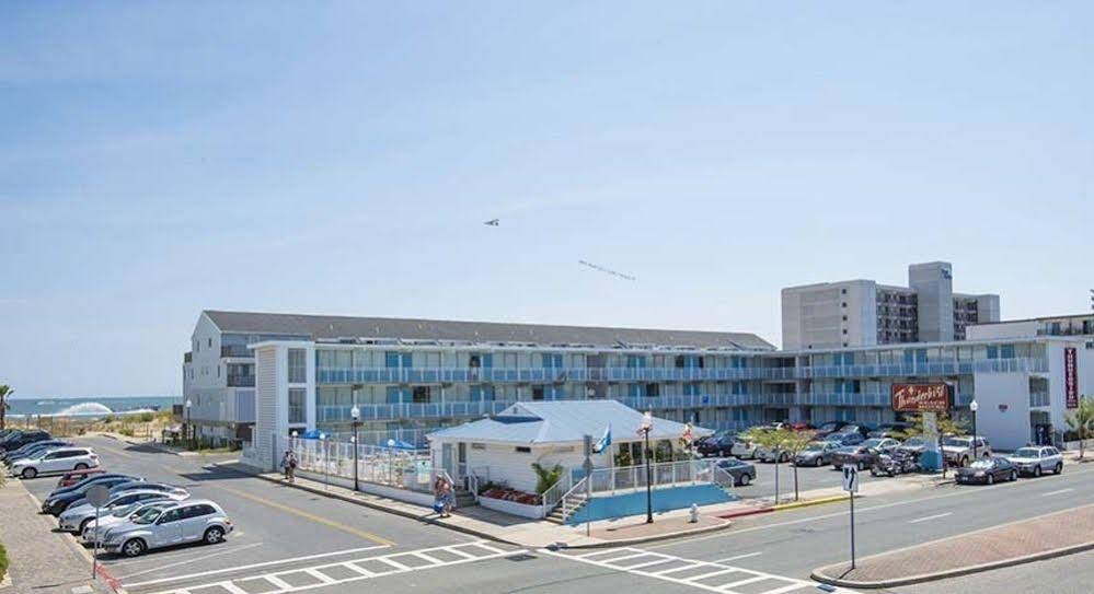 The Thunderbird Beach Motel