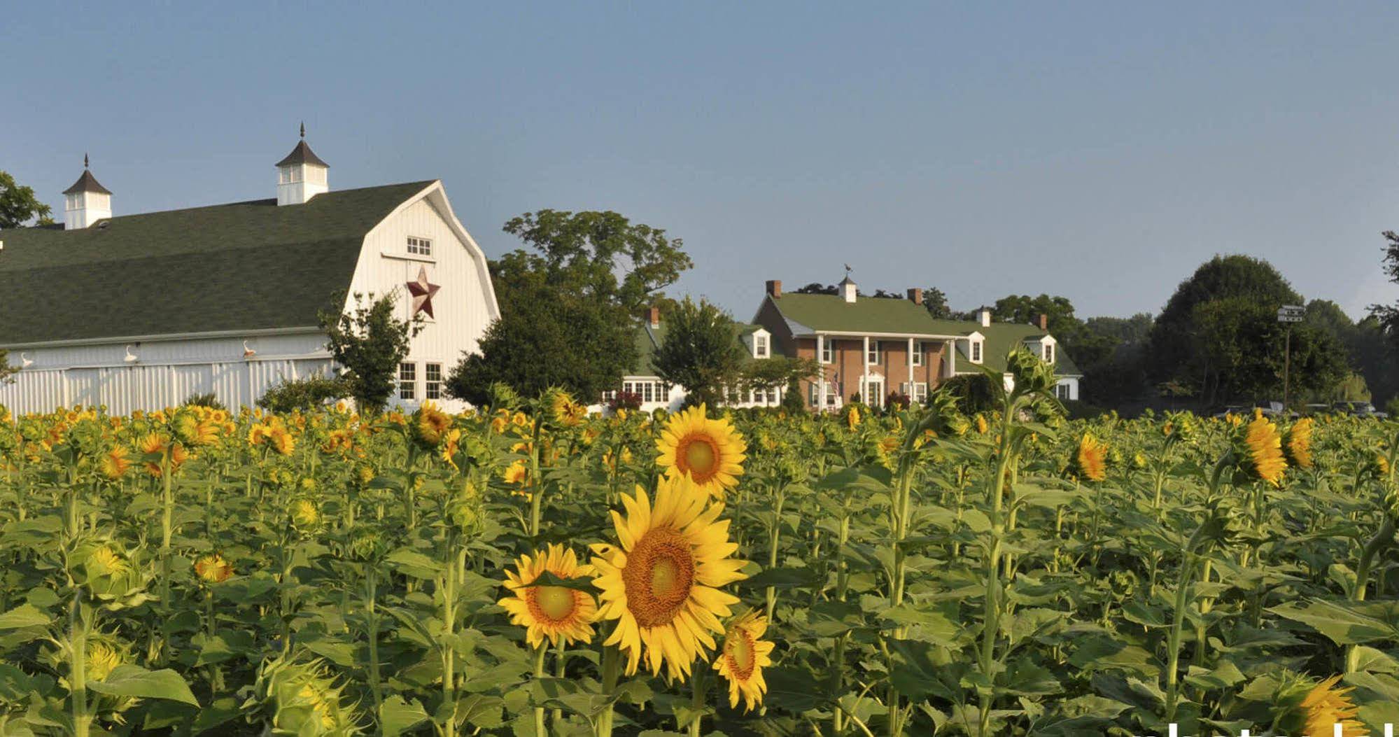Inn at Huntingfield Creek