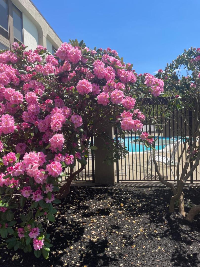 Hampton Inn New Bedford/Fairhaven