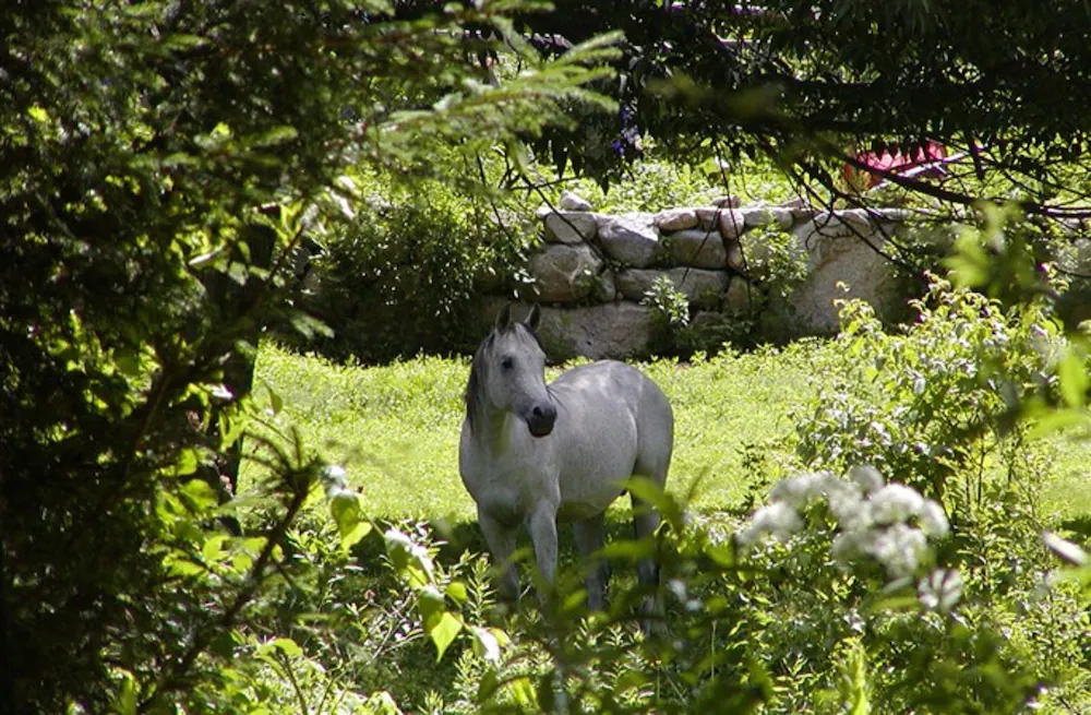 The Inn on the Horse Farm