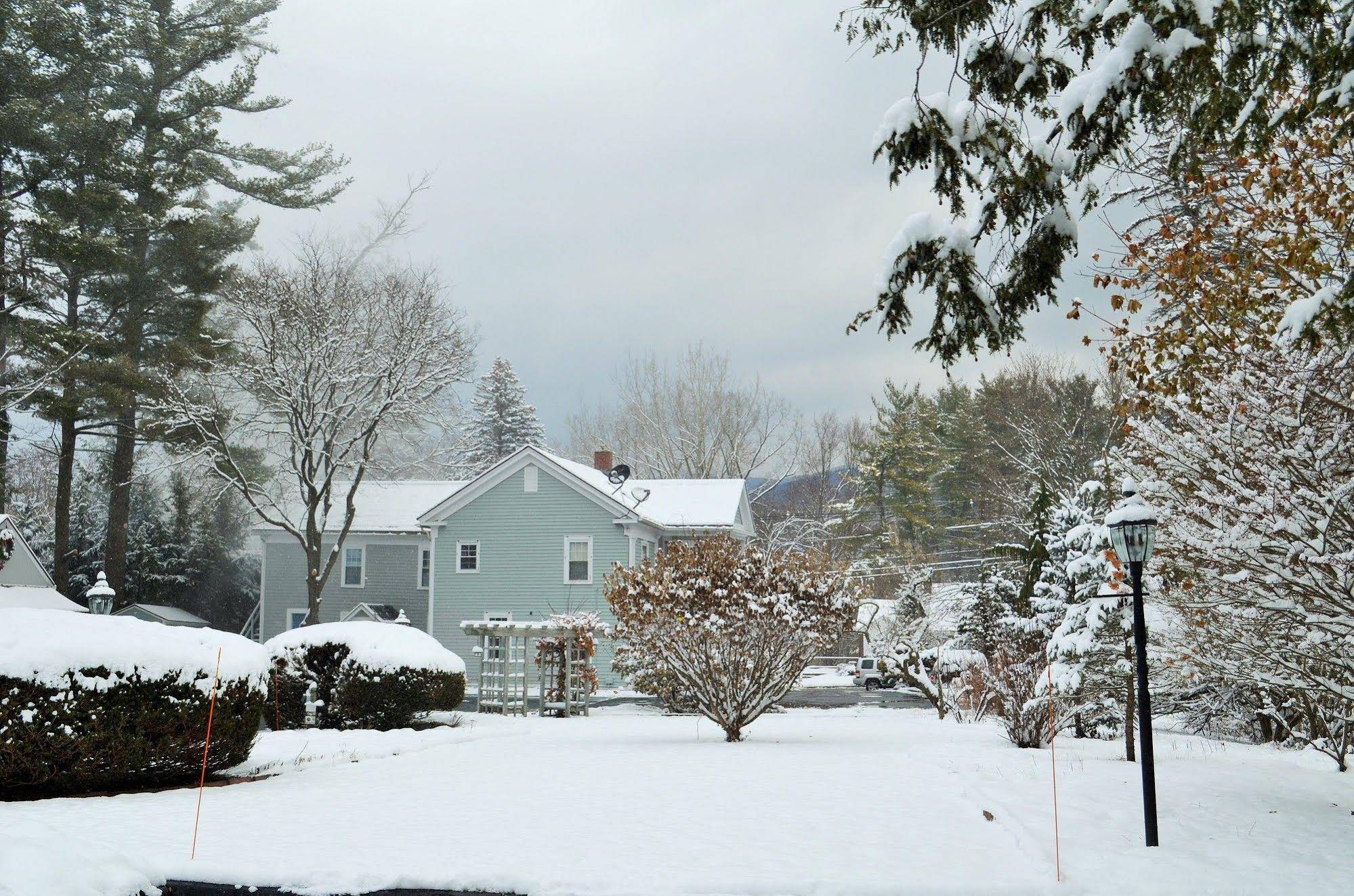 Maple Terrace Motel