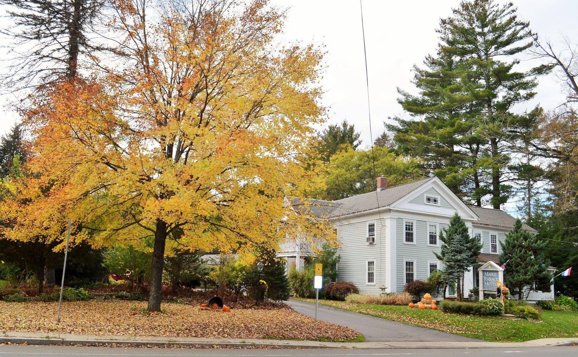 Maple Terrace Motel