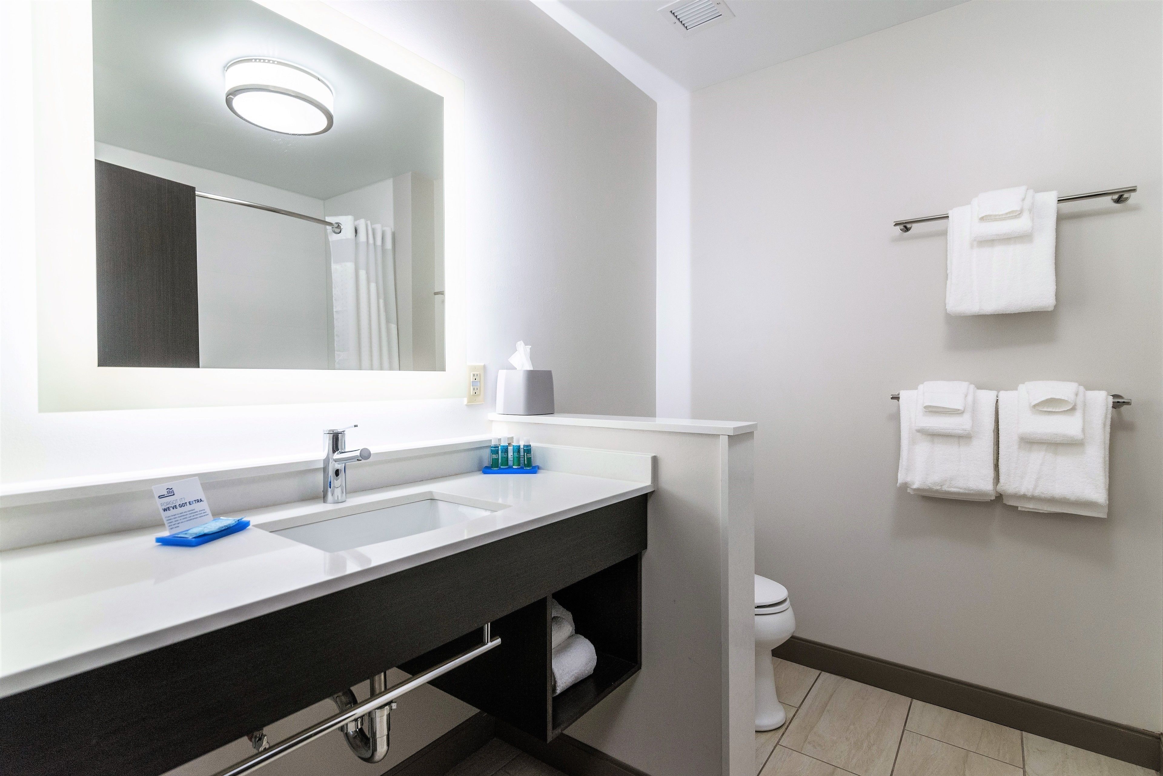 Holiday Inn Express & Suites Allen Park