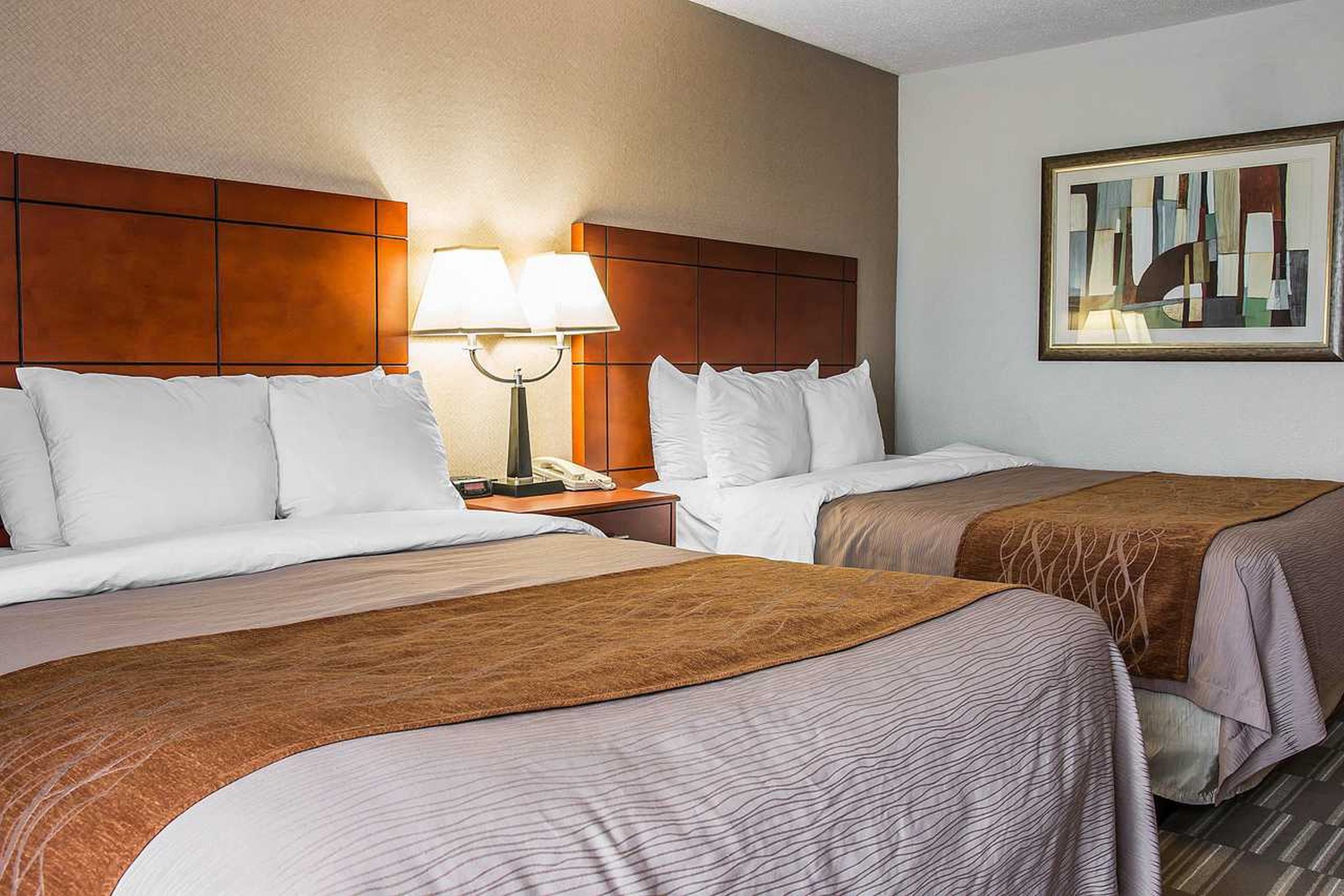 Comfort Inn & Suites University South