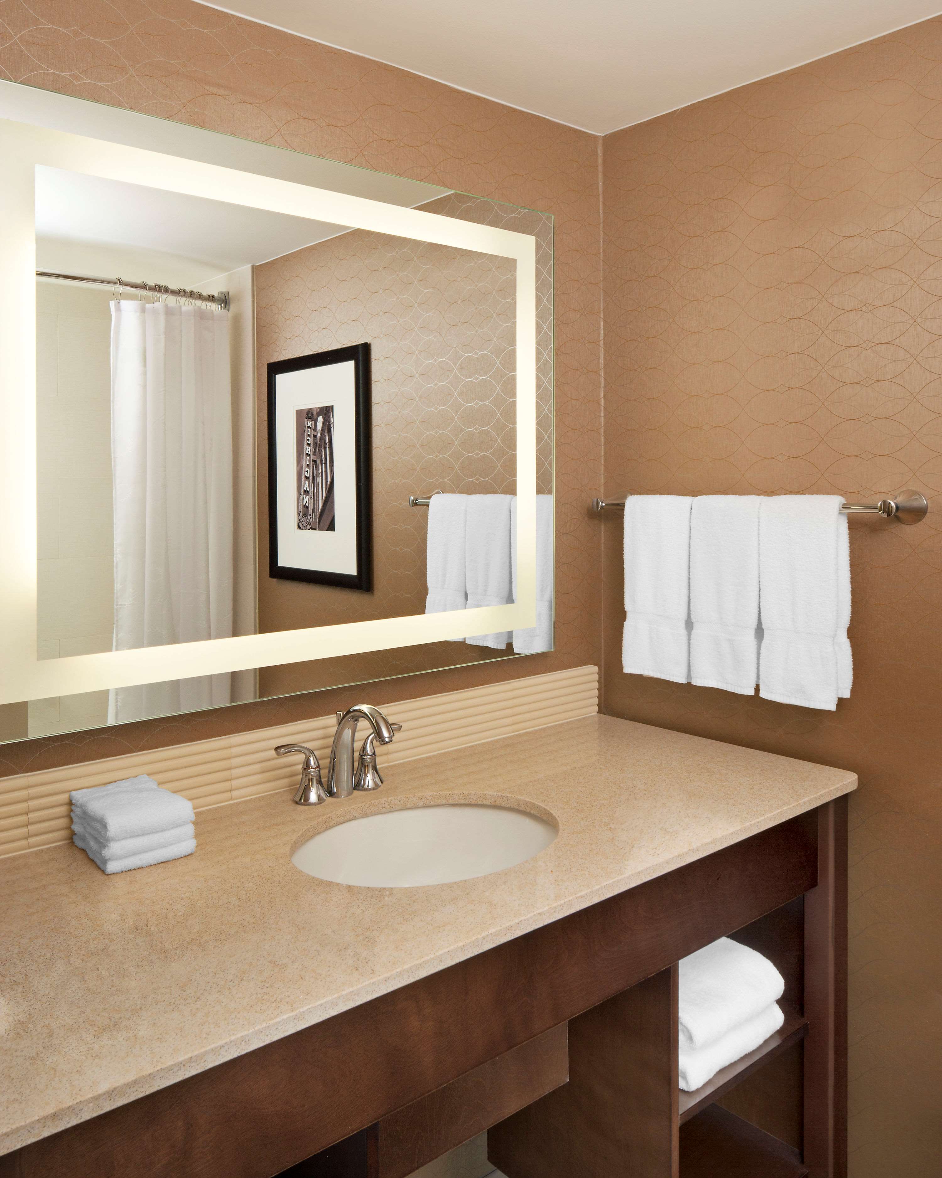 Sheraton Ann Arbor Hotel