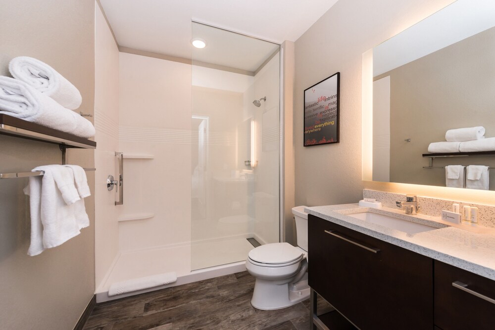 TownePlace Suites Detroit Belleville