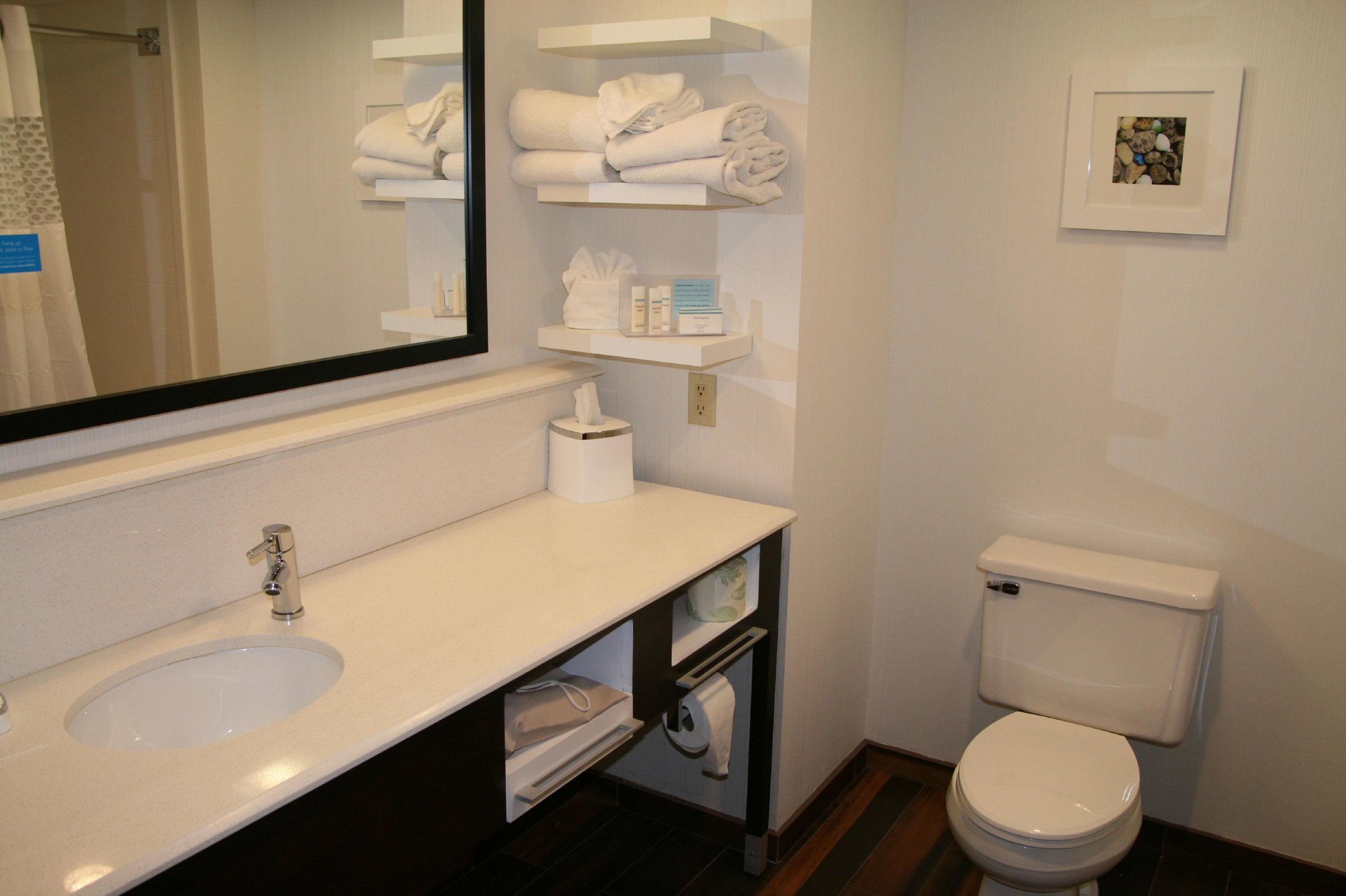 Hampton Inn Birch Run/Frankenmuth