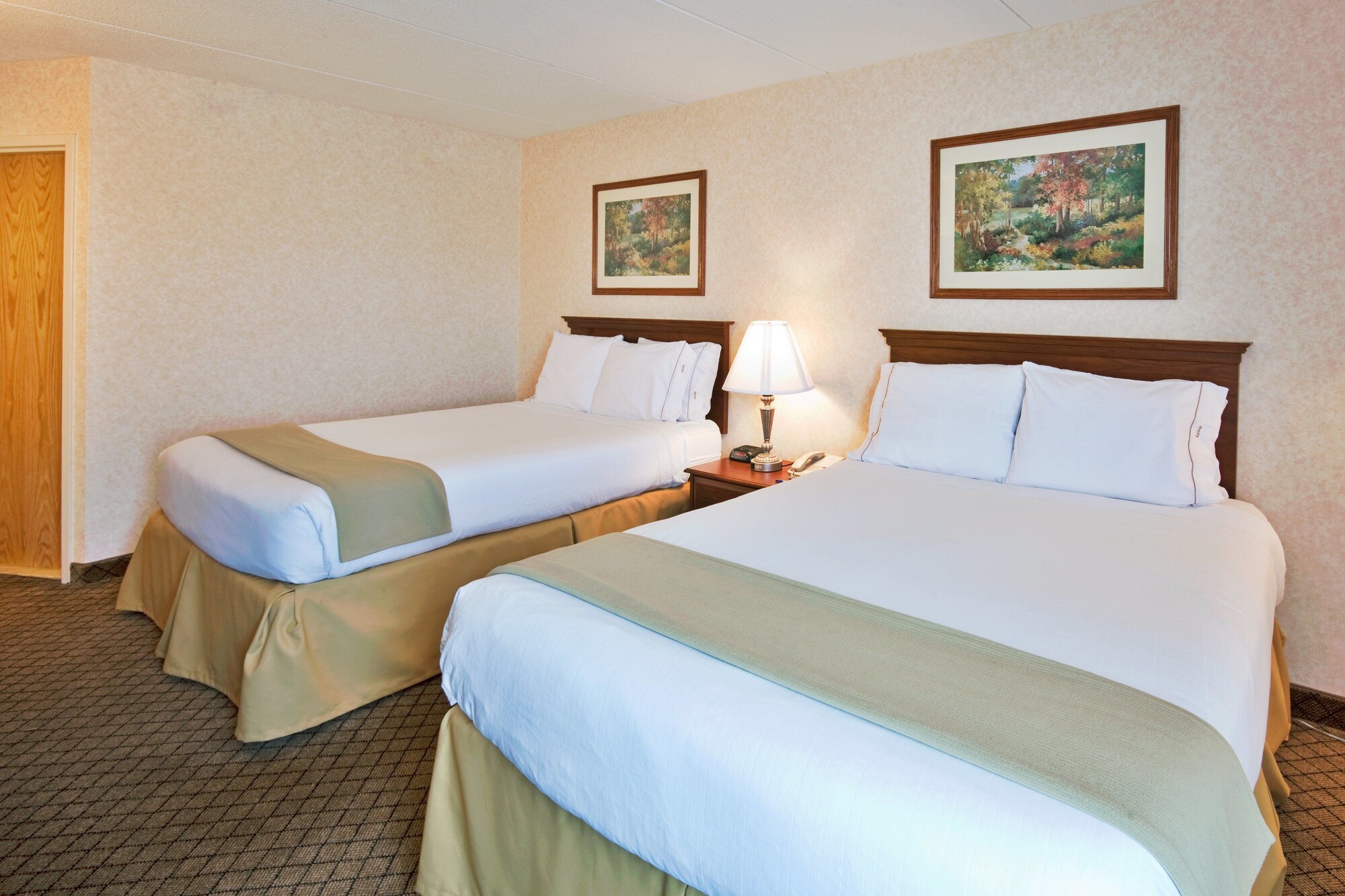 Holiday Inn Express Flint-Campus Area