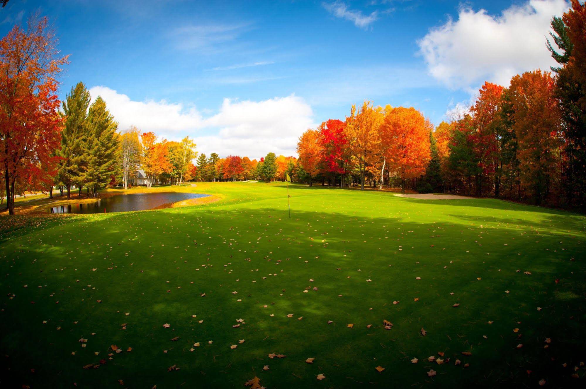 The Loon Golf Resort