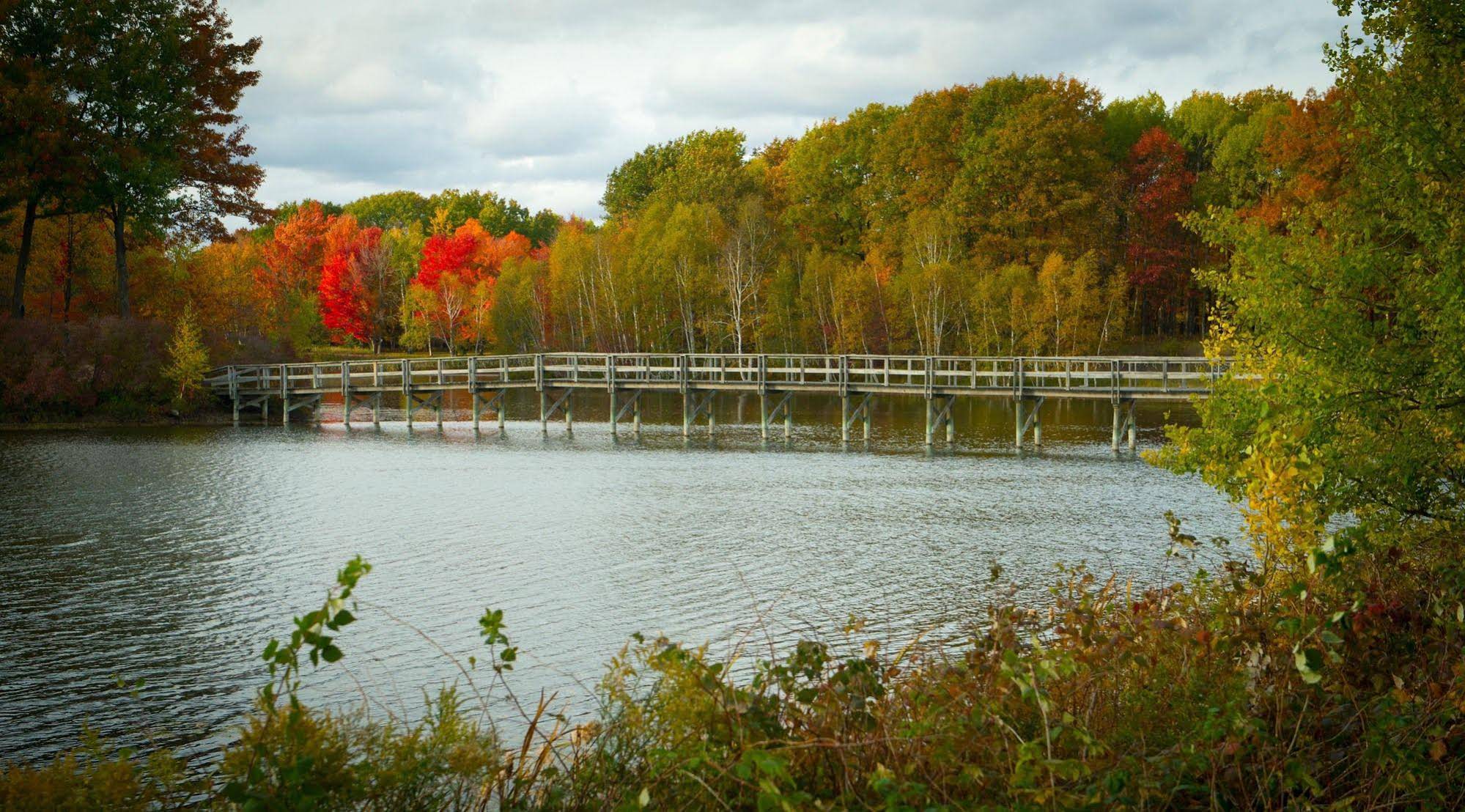 The Loon Golf Resort