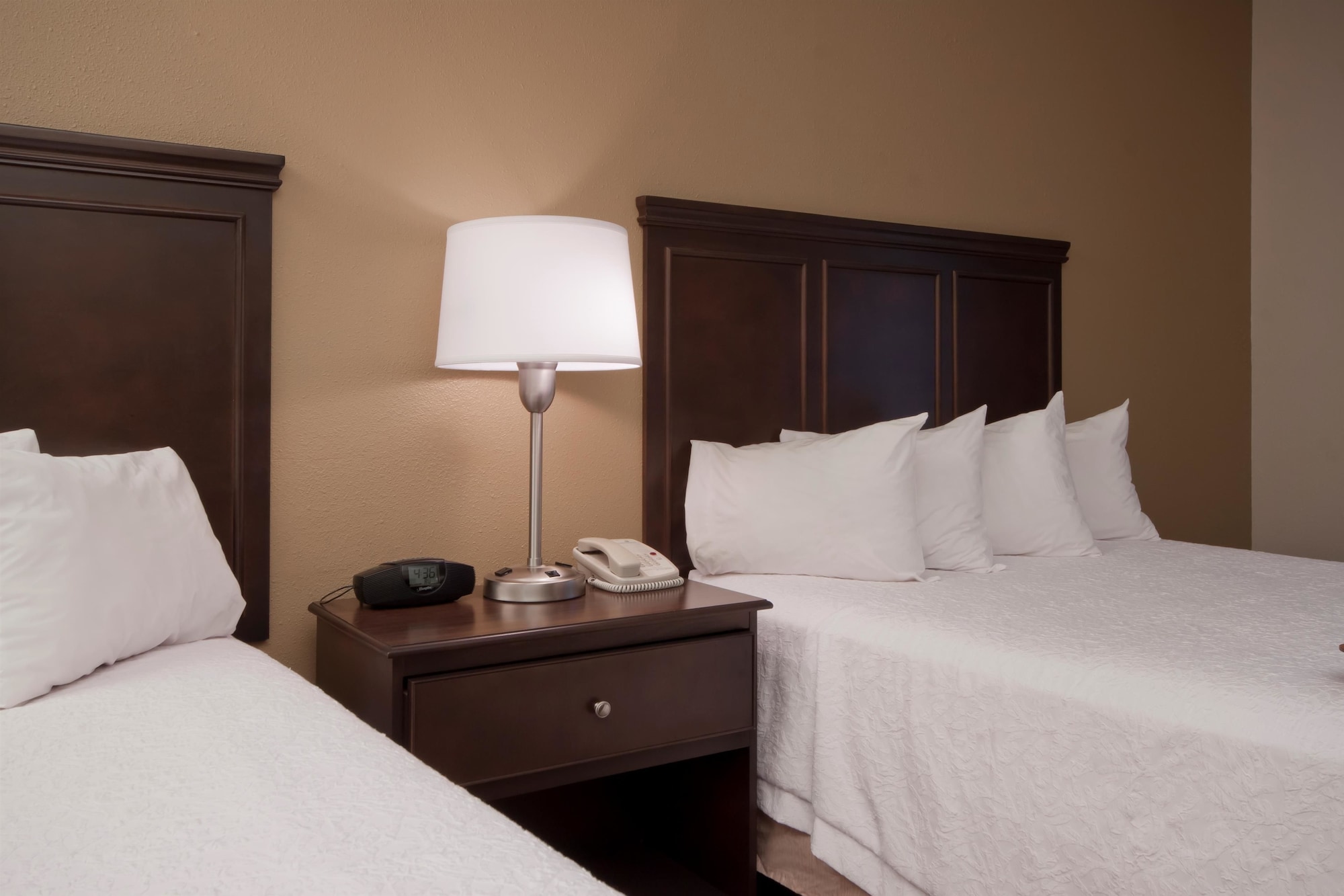 Hampton Inn Jackson