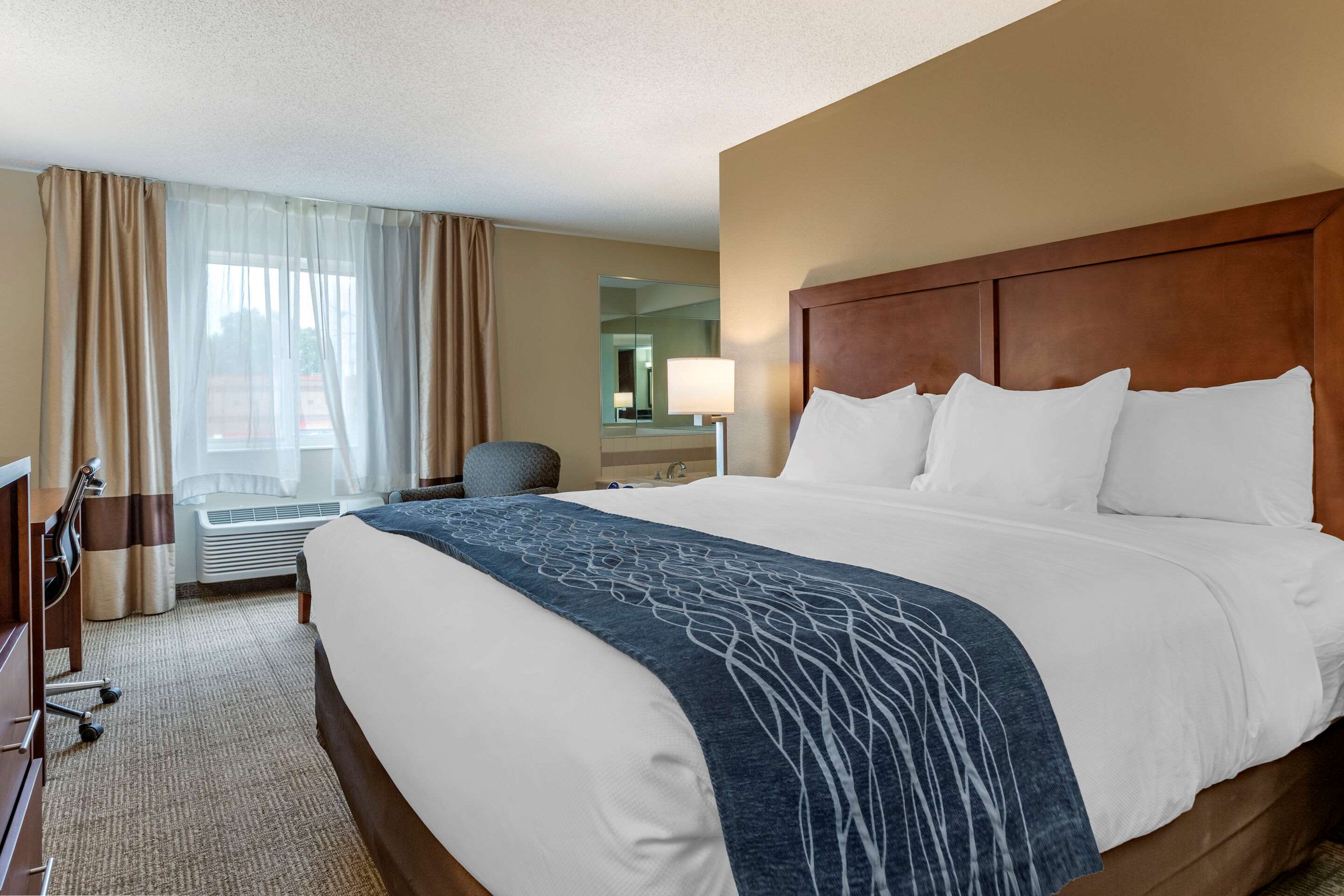 Comfort Inn & Suites Dimondale - Lansing