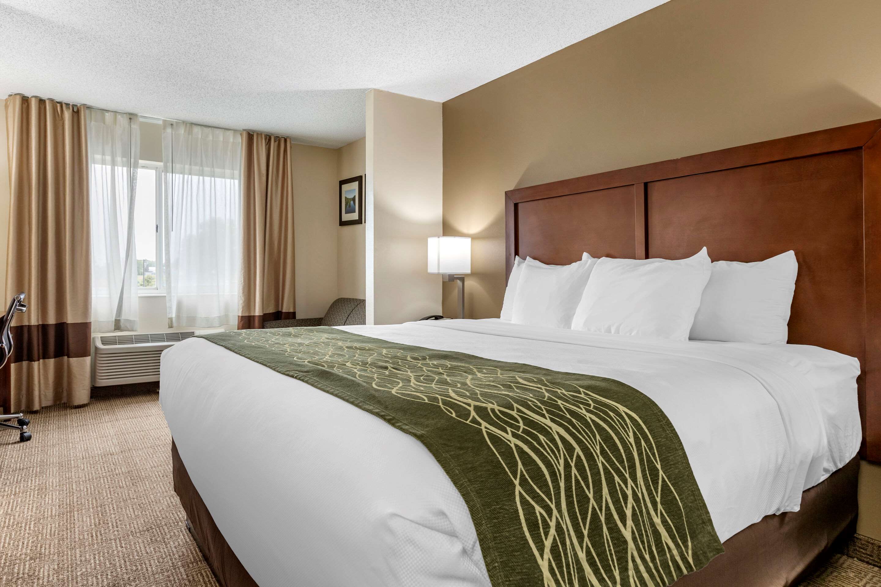 Comfort Inn & Suites Dimondale - Lansing