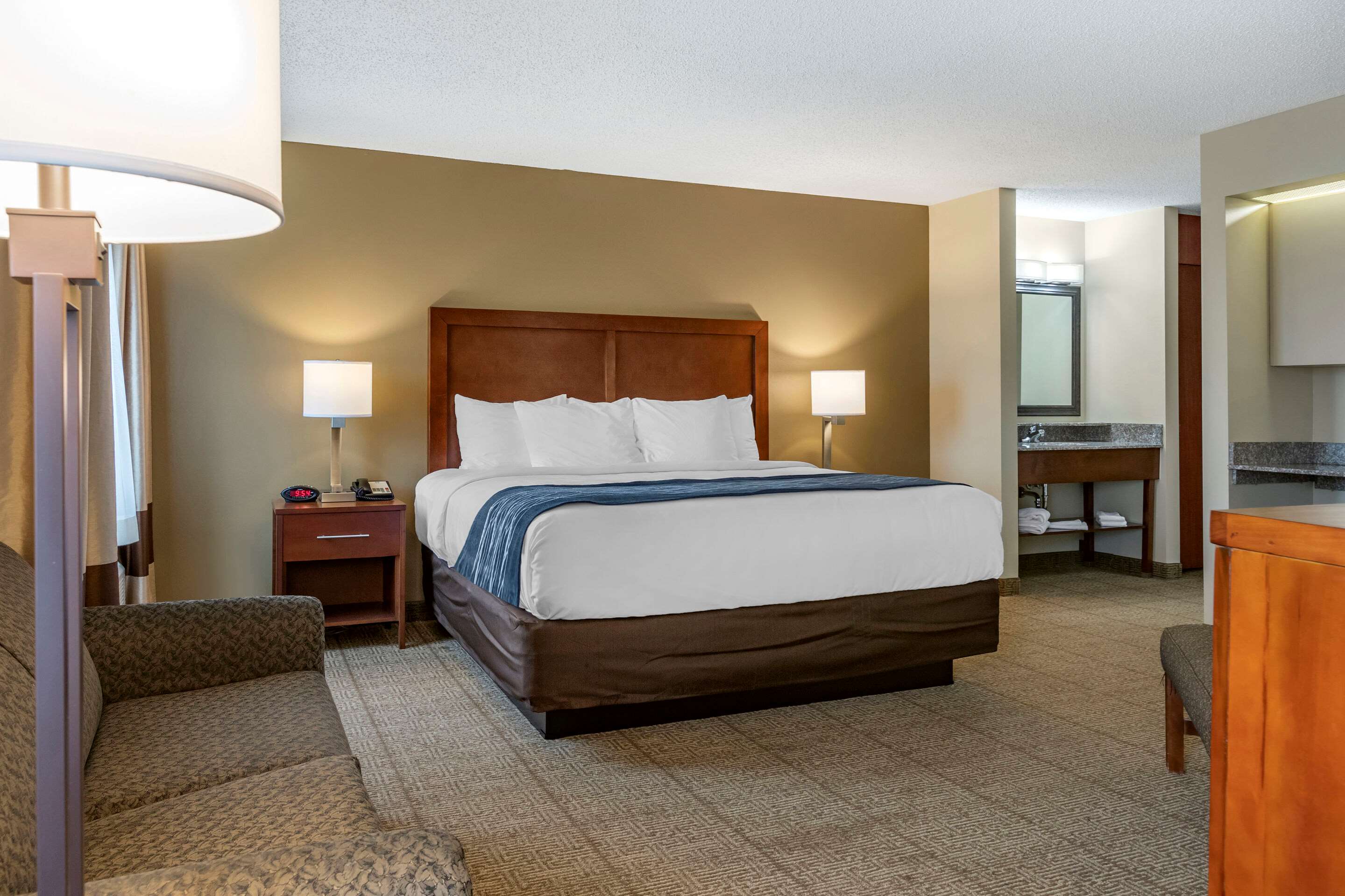 Comfort Inn & Suites Dimondale - Lansing