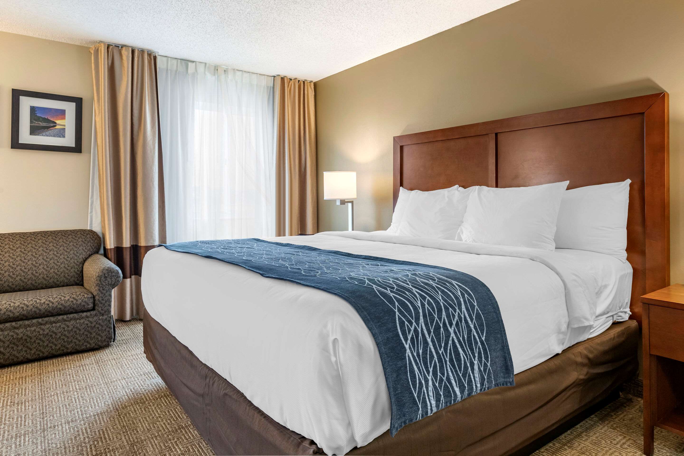 Comfort Inn & Suites Dimondale - Lansing
