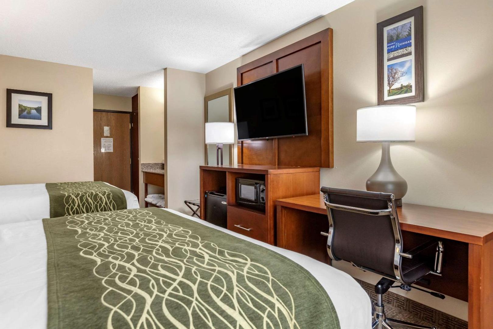 Comfort Inn & Suites Dimondale - Lansing