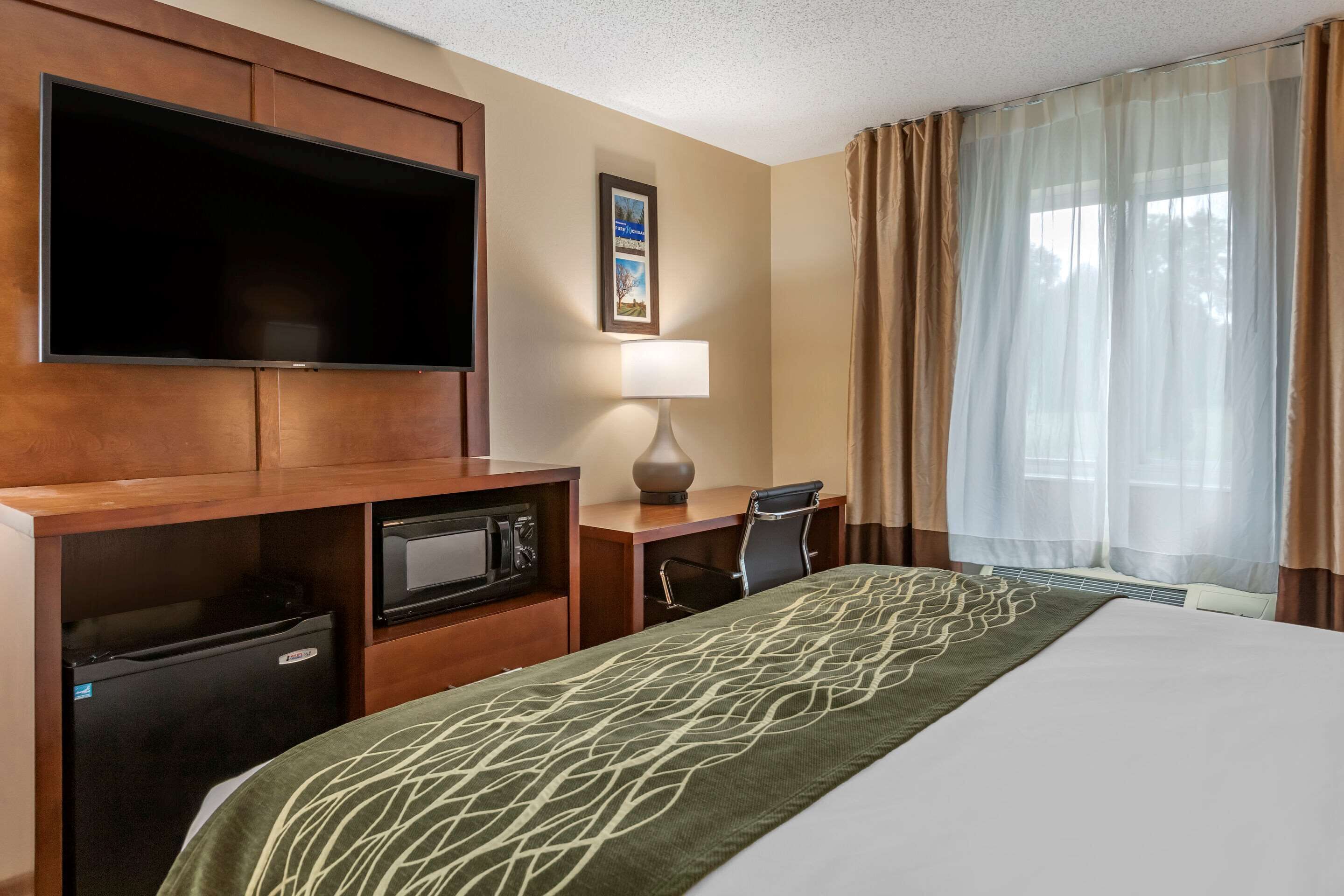Comfort Inn & Suites Dimondale - Lansing