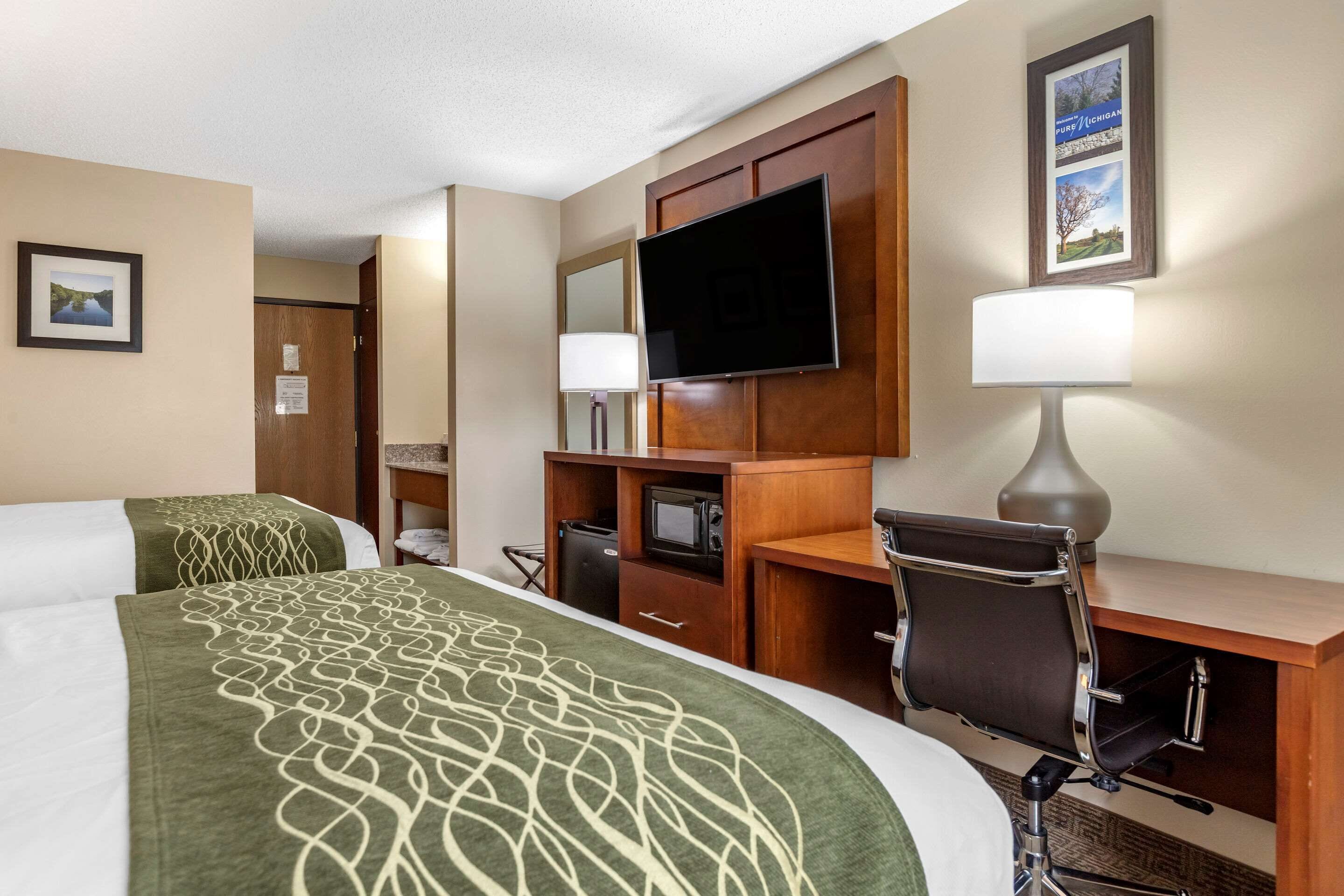 Comfort Inn & Suites Dimondale - Lansing