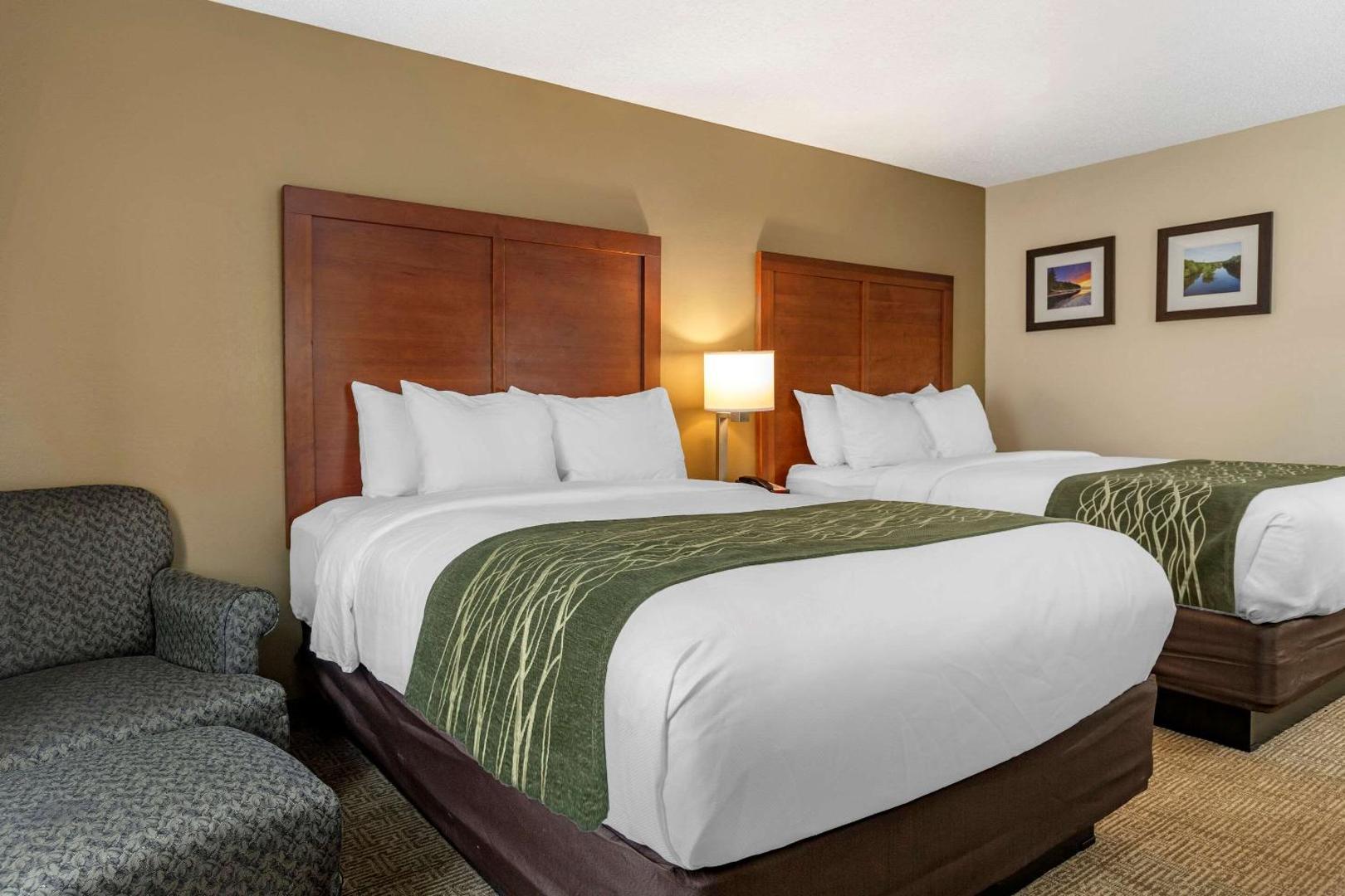 Comfort Inn & Suites Dimondale - Lansing