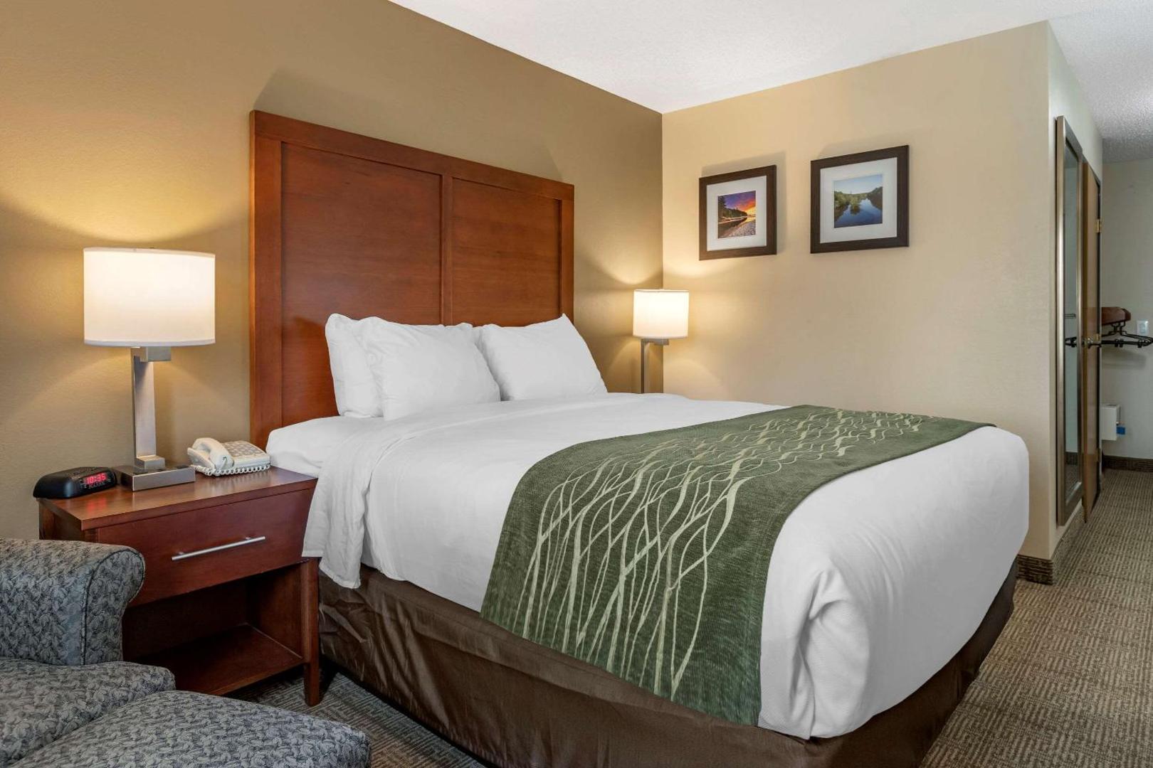 Comfort Inn & Suites Dimondale - Lansing