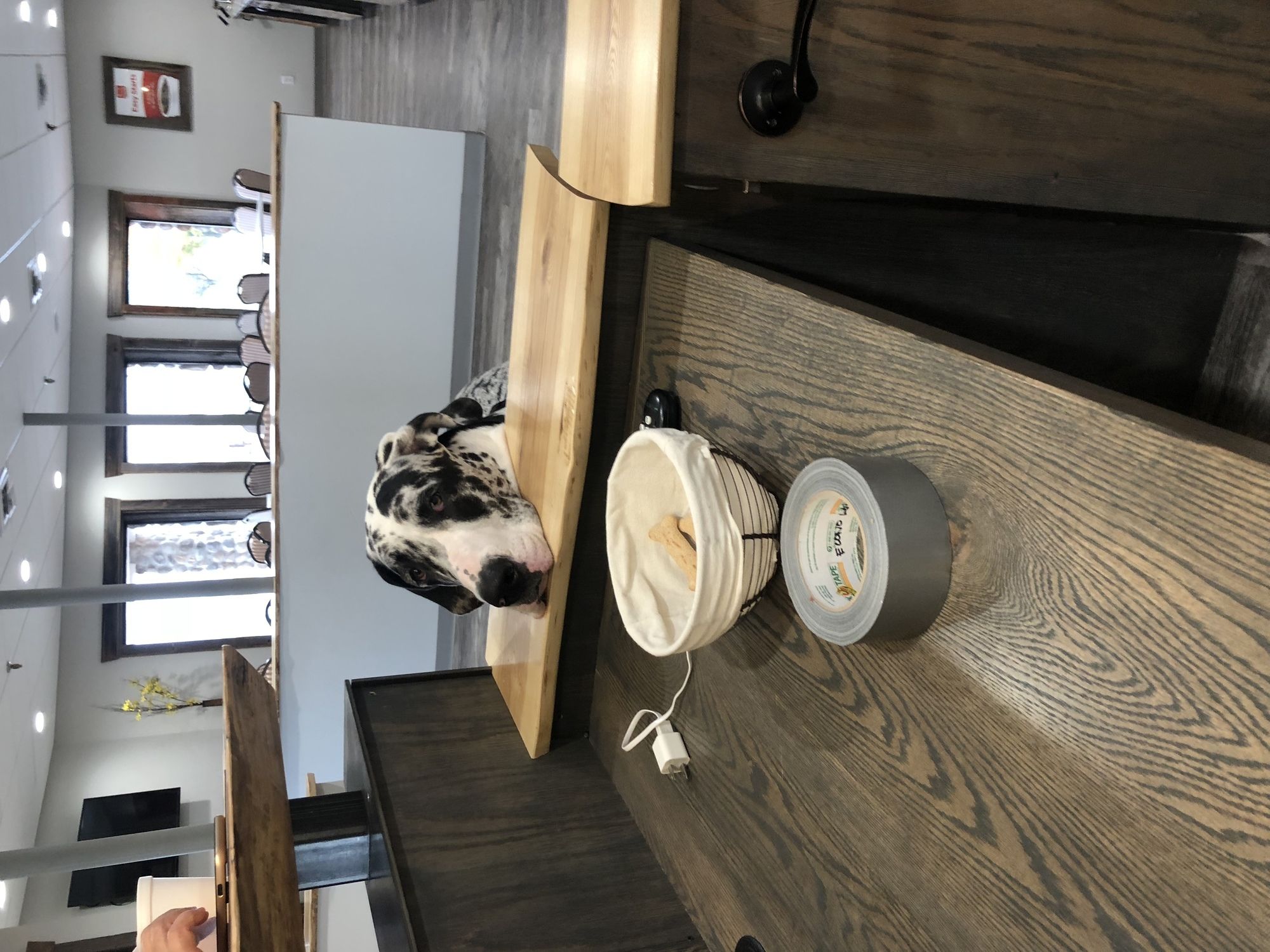 Econo Lodge Lakeside