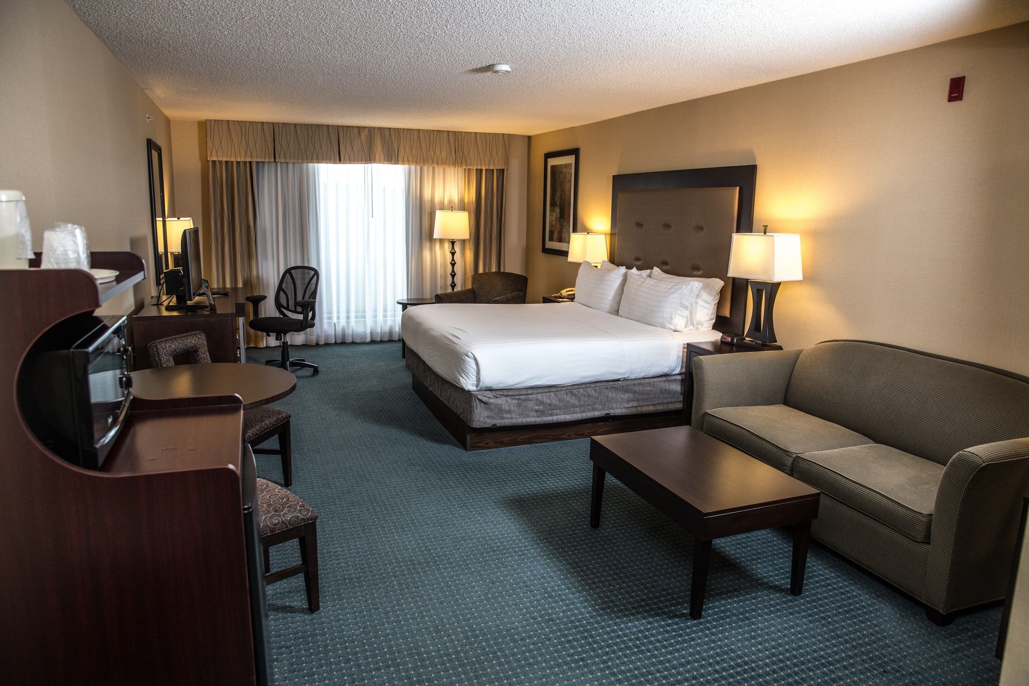 Holiday Inn Express & Suites Detroit-Novi
