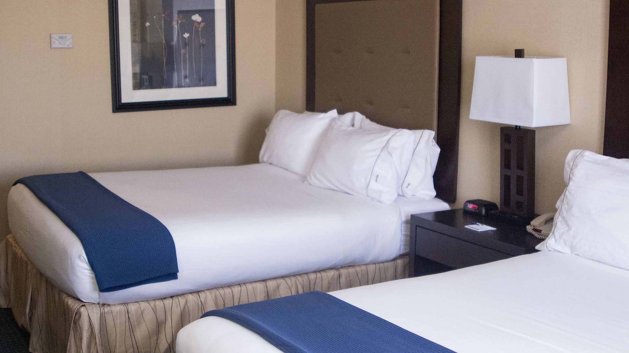 Holiday Inn Express & Suites Detroit-Novi
